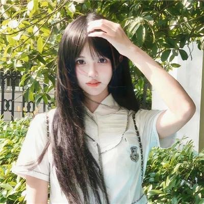 蓝色大丽花